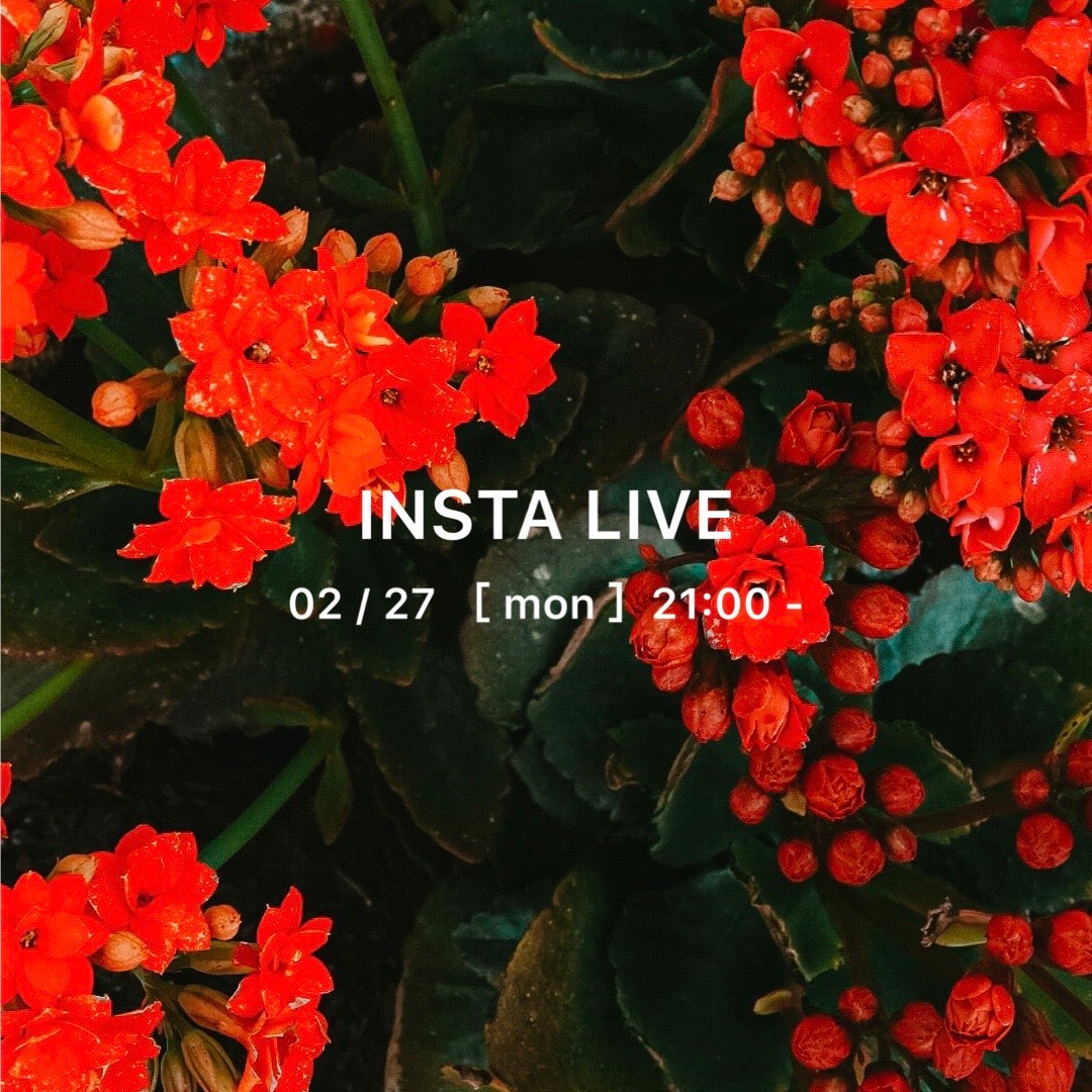 02/27 インスタライブご紹介アイテム