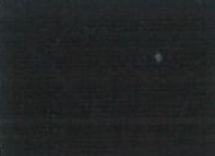 【25AW商品-25348030】リップ柄インターシャプルオーバー