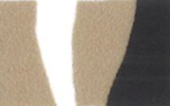 【25AW商品-25142000】ビッグフラワープリントスカート